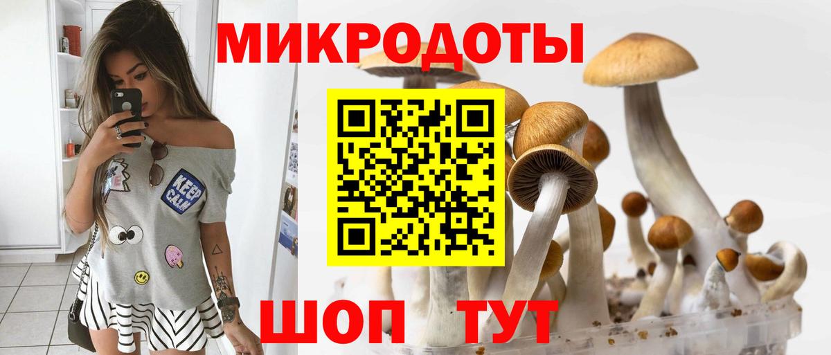 Благовещенск  Галлюциногенные грибы Cubensis  Вход с VPN  Псилоцибиновые грибы прущие грибы 